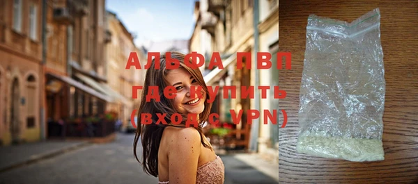 прущие грибы Липки