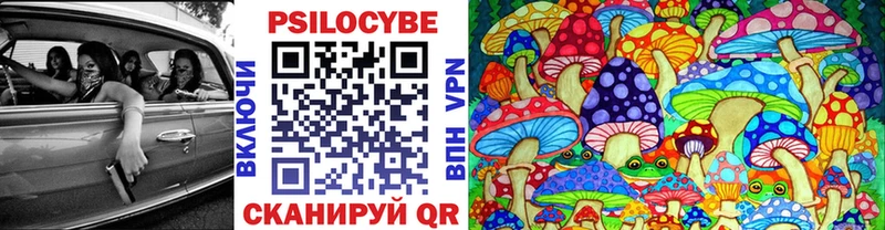 Псилоцибиновые грибы мицелий  Избербаш 